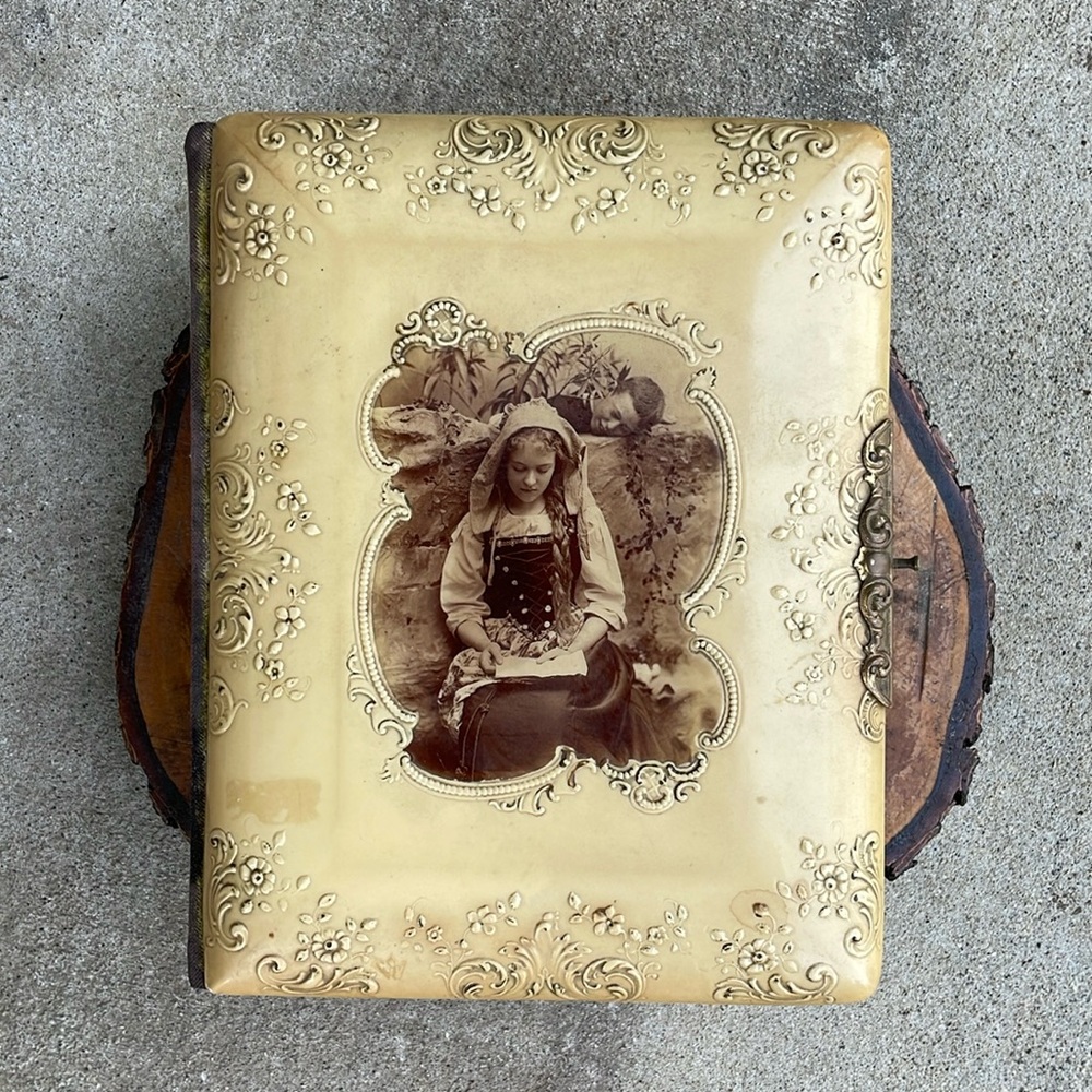 Antique Celluloid and Felt Picture Album